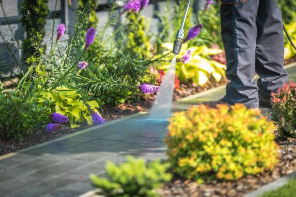 Best Brick and Stone Cleaning in San Jose, CA